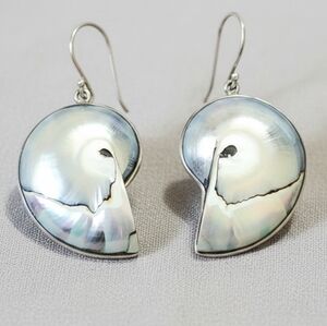 Large Sterling Silver Iridescent Nautilus Shell Spiral Dangle Earrings